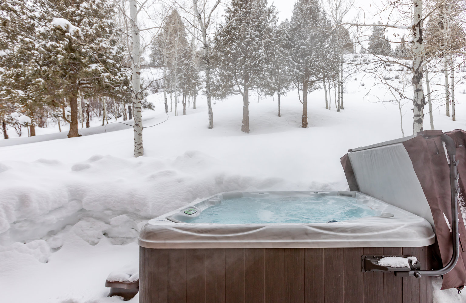 Alpine Vacation Rental