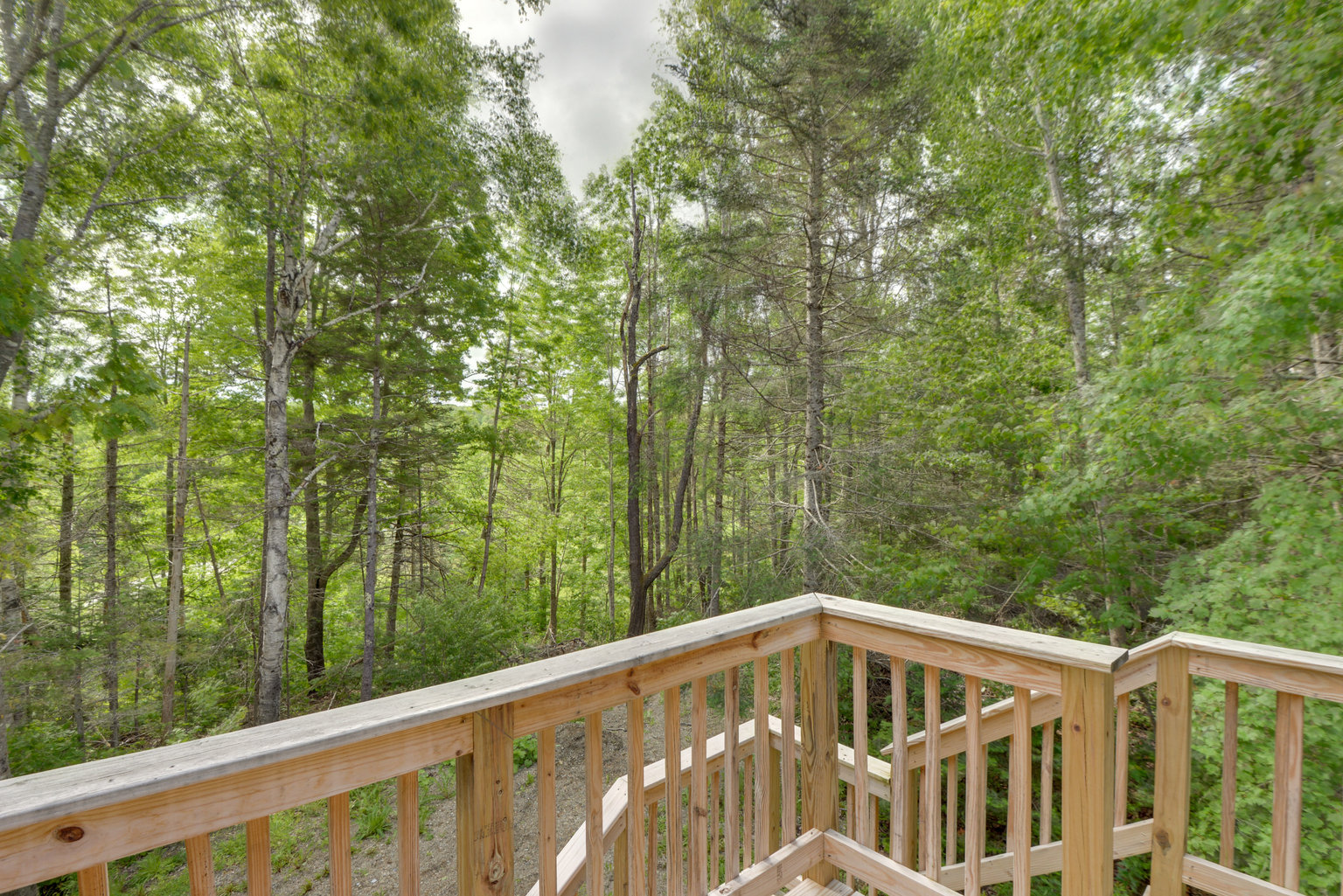 Prospect Vacation Rental