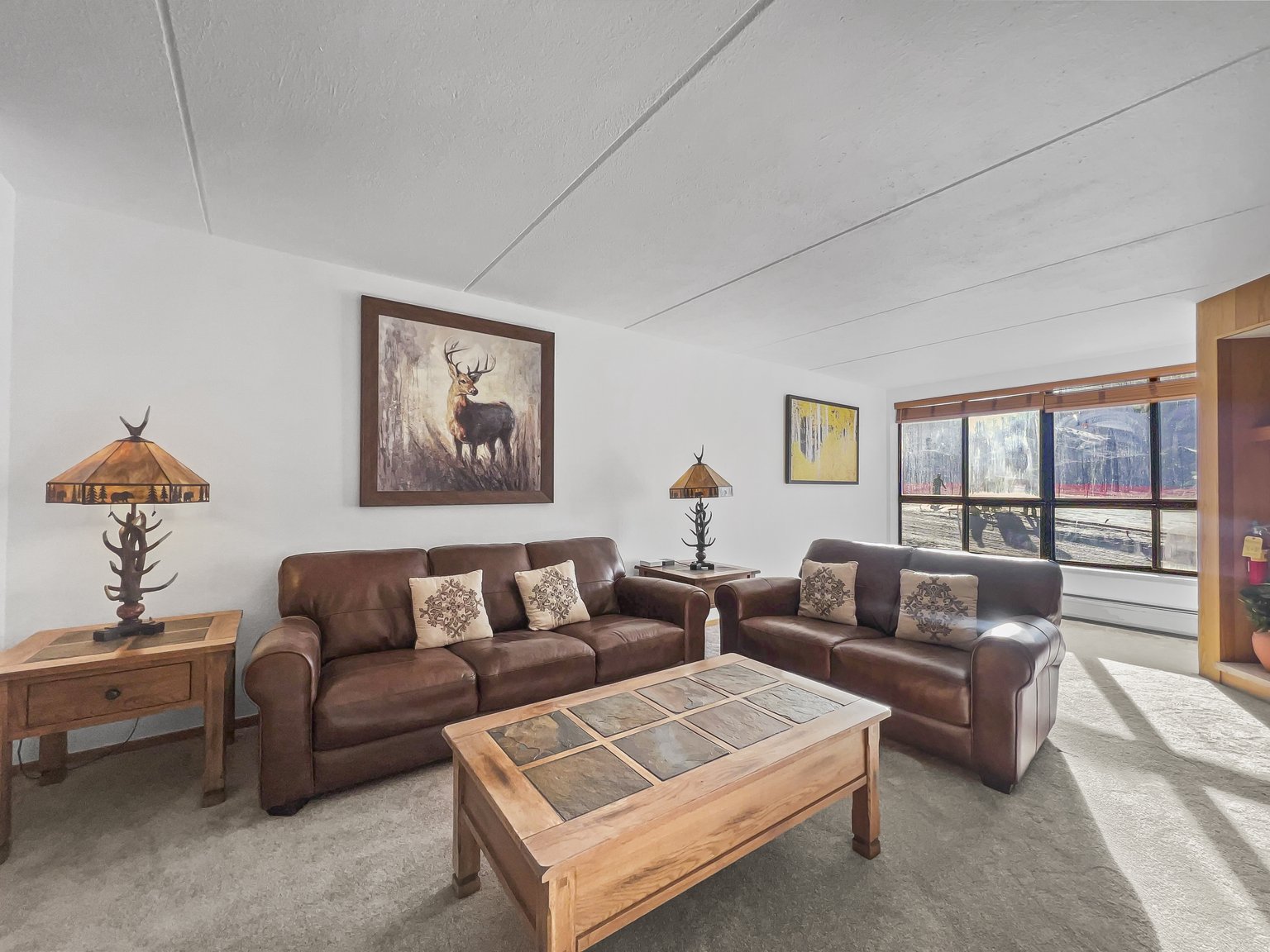 Copper Mountain Vacation Rental