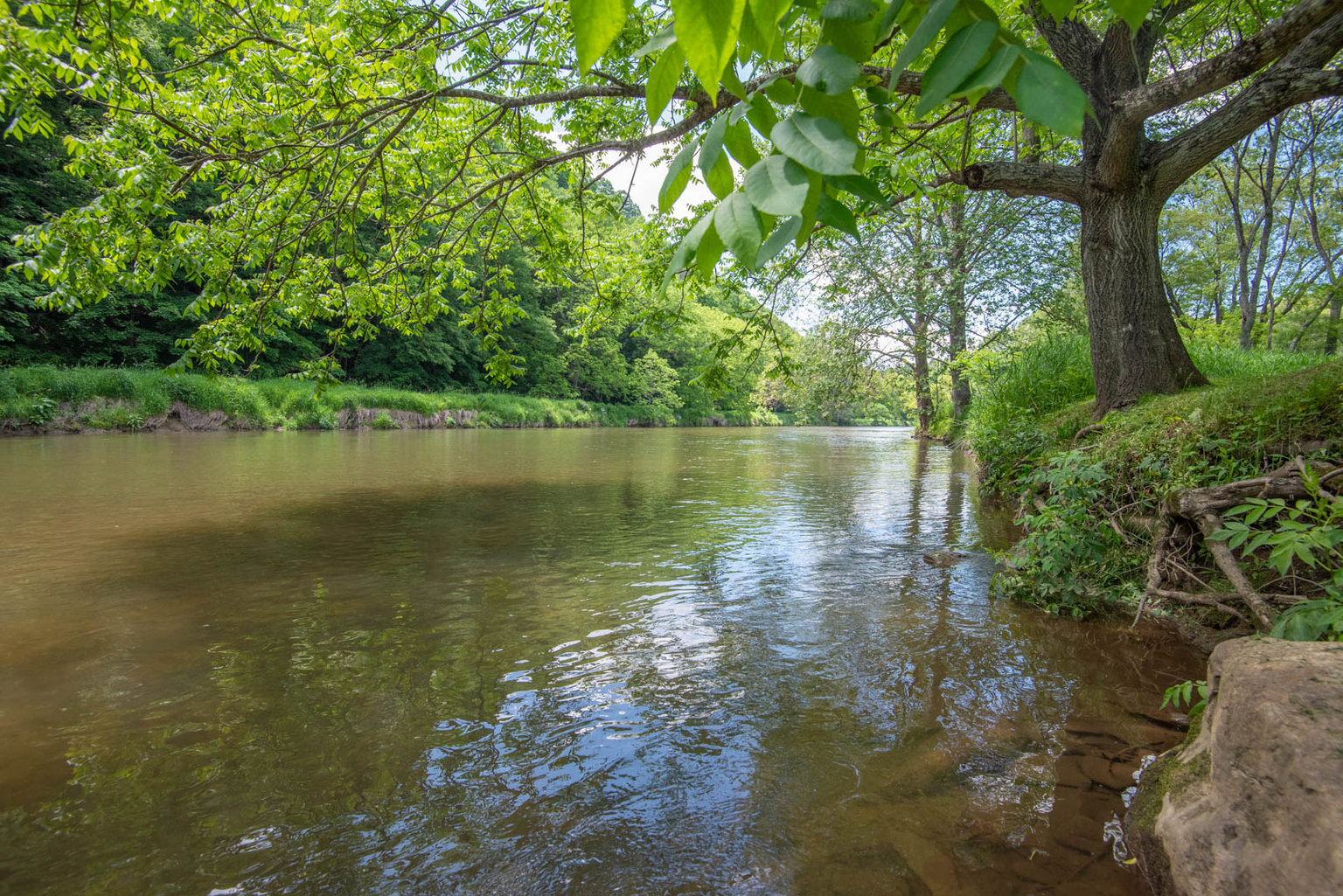 Lansing Vacation Rental