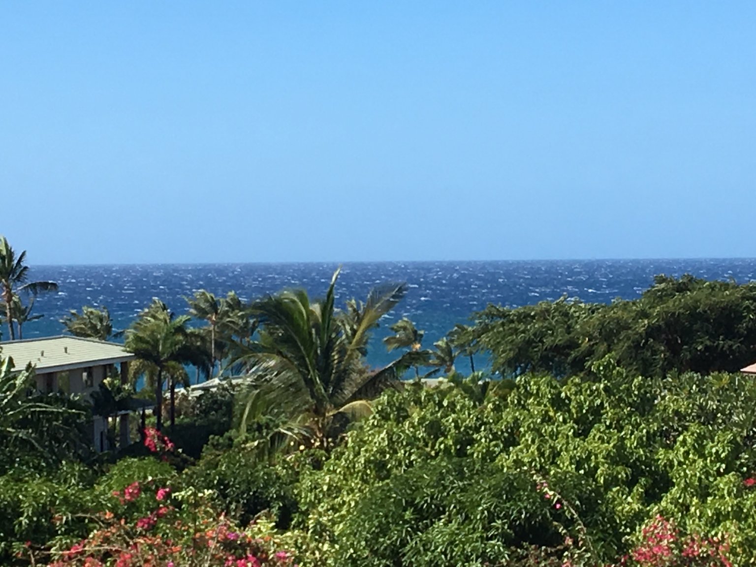 Wailea Vacation Rental