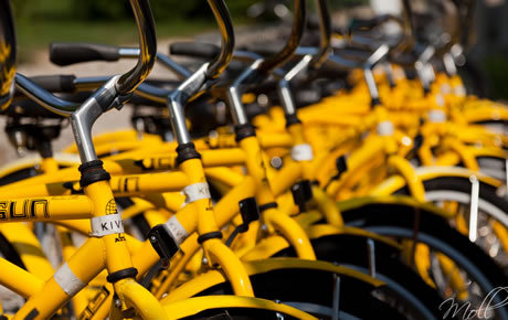 Kelleys Island Vacation Rental