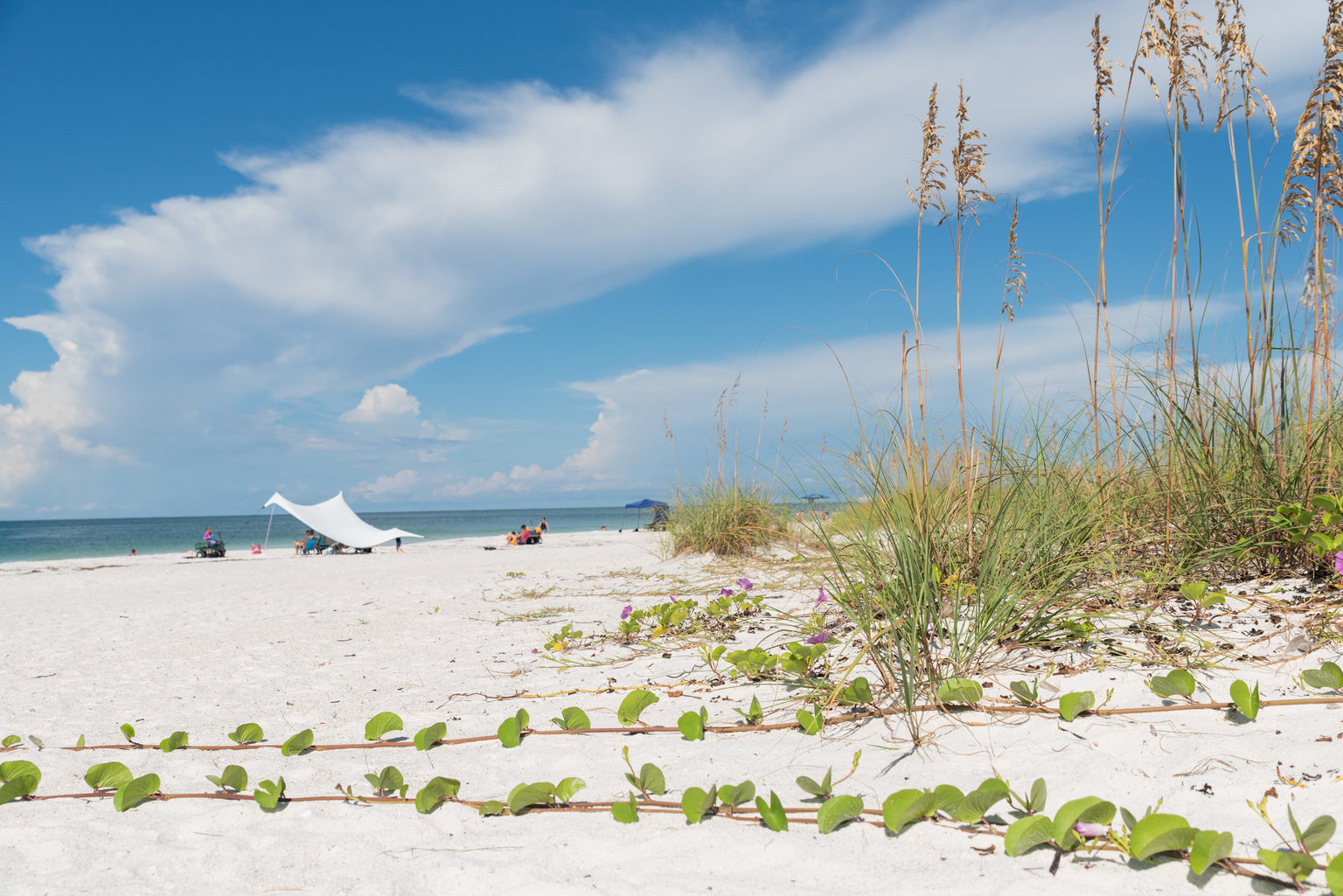 Holmes Beach Vacation Rental