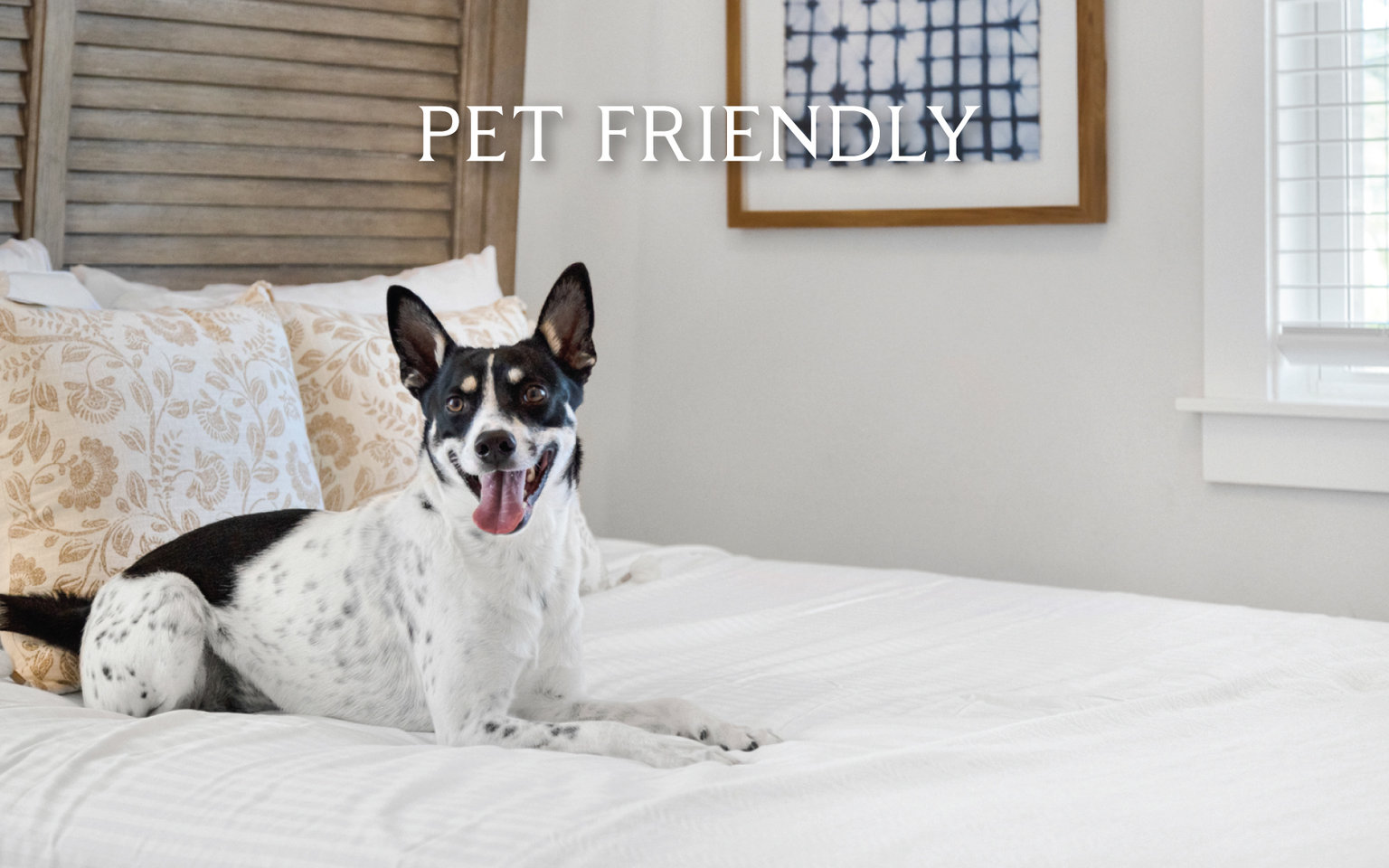 Santa Rosa Beach Vacation Rental