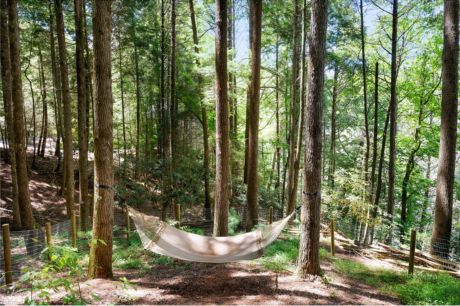 Cherry Log Vacation Rental