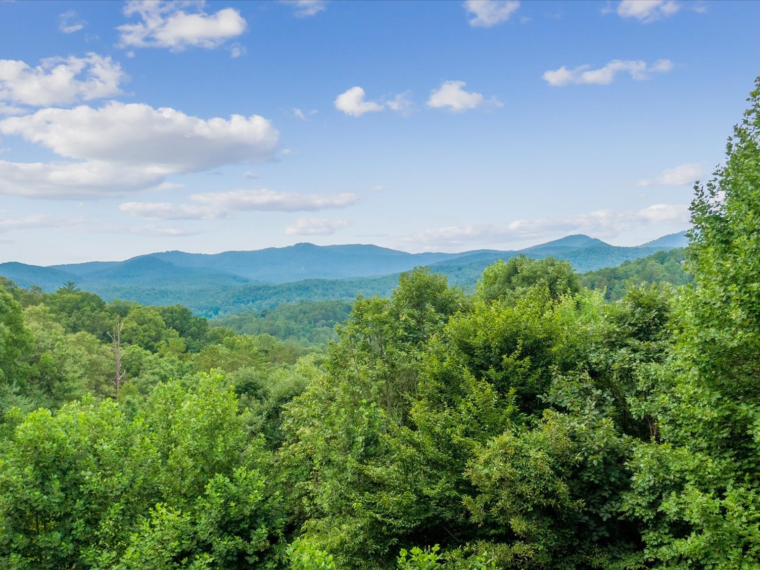 Mineral Bluff Vacation Rental