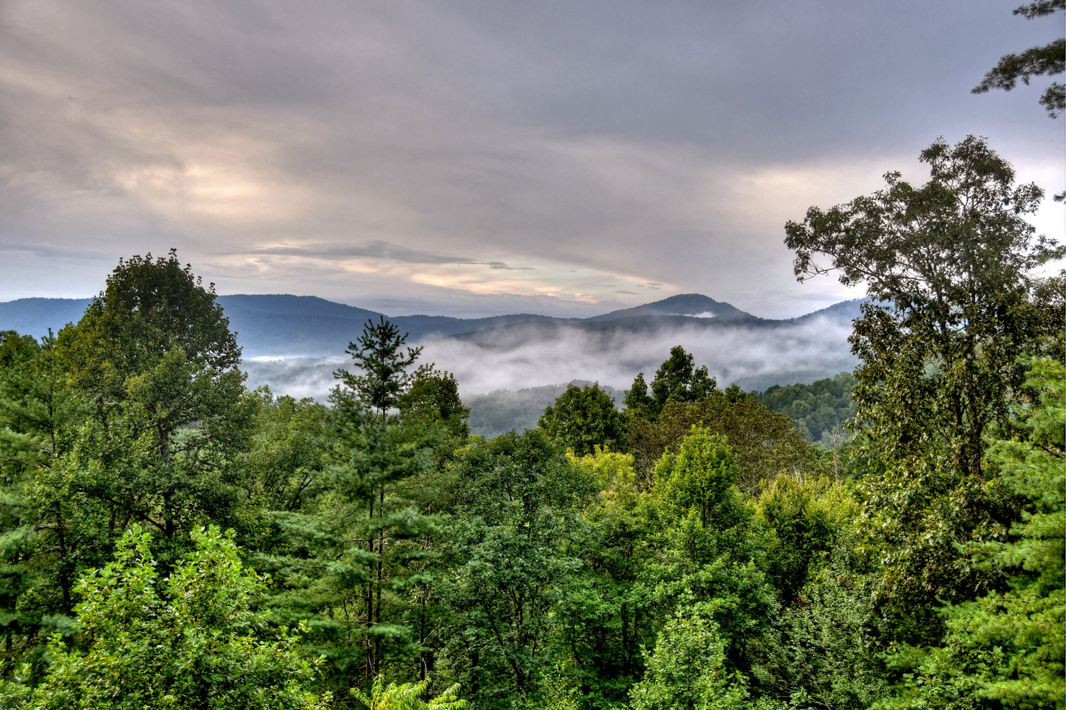 Mineral Bluff Vacation Rental