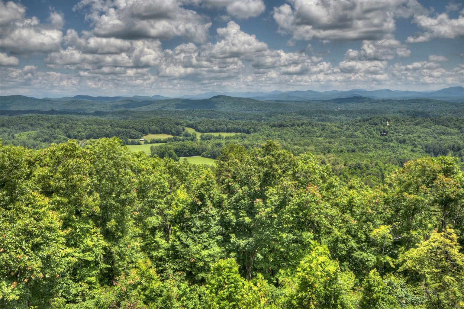 Mineral Bluff Vacation Rental