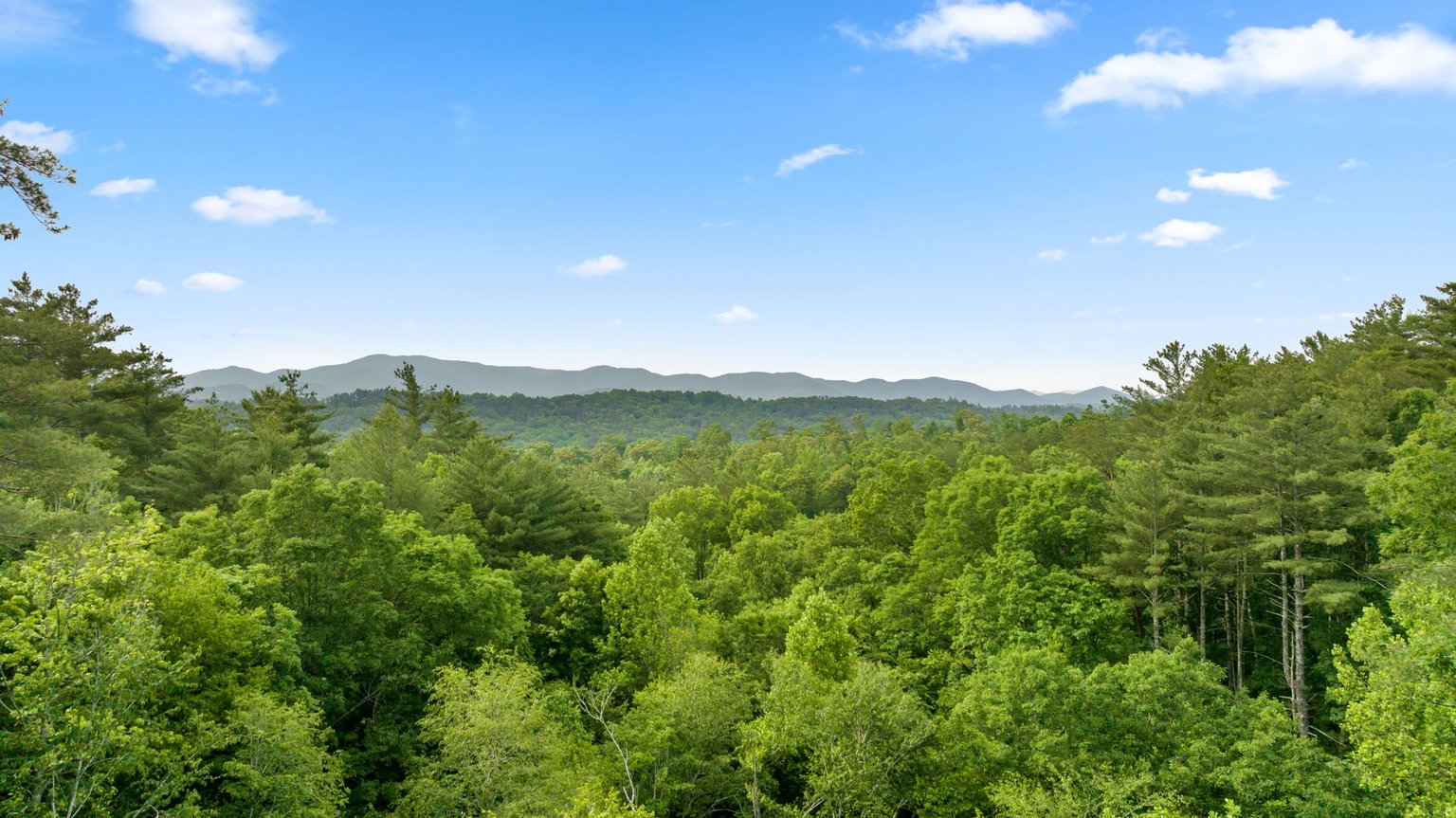 Ellijay Vacation Rental