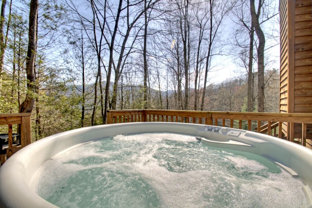 Candler Vacation Rental