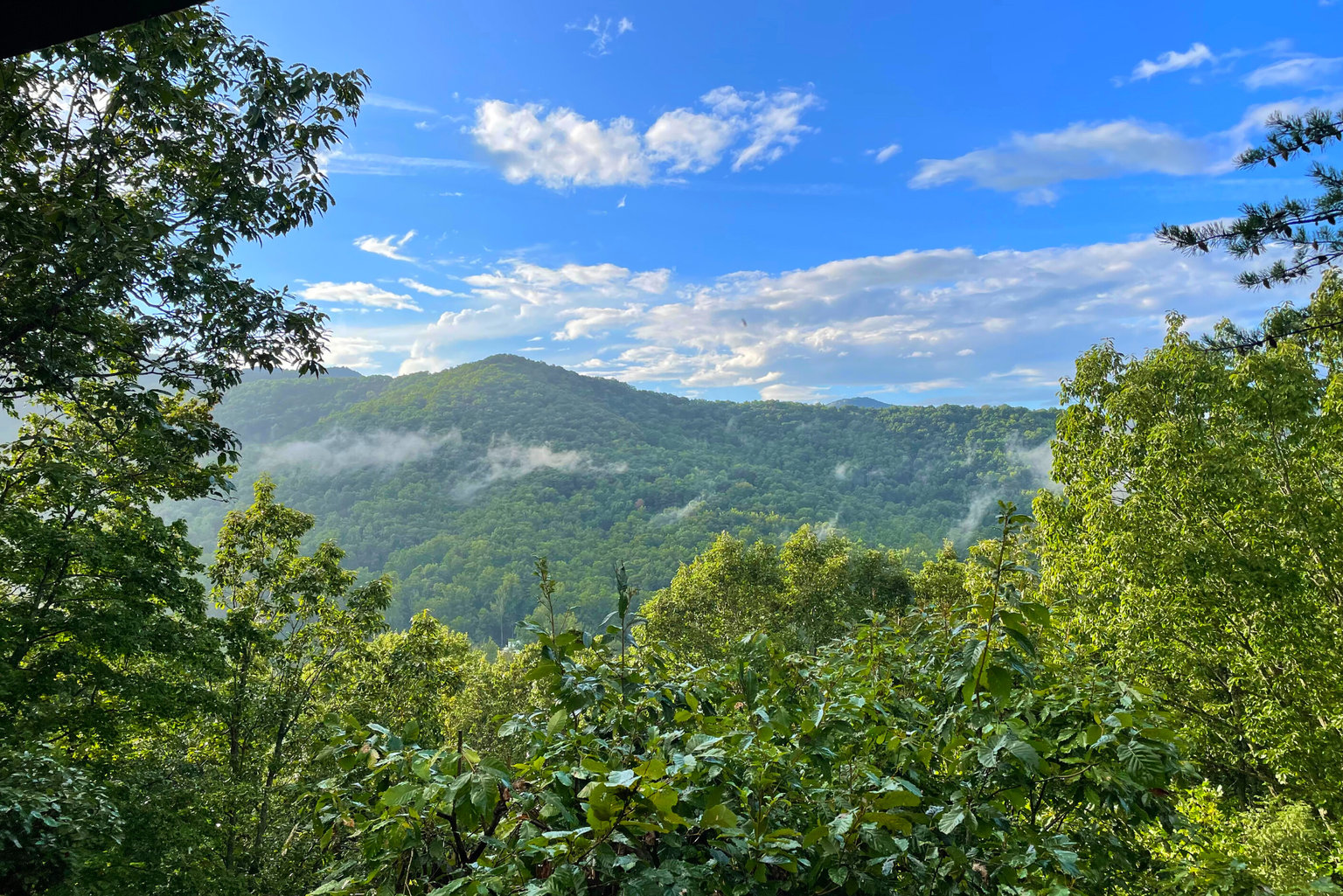 Candler Vacation Rental