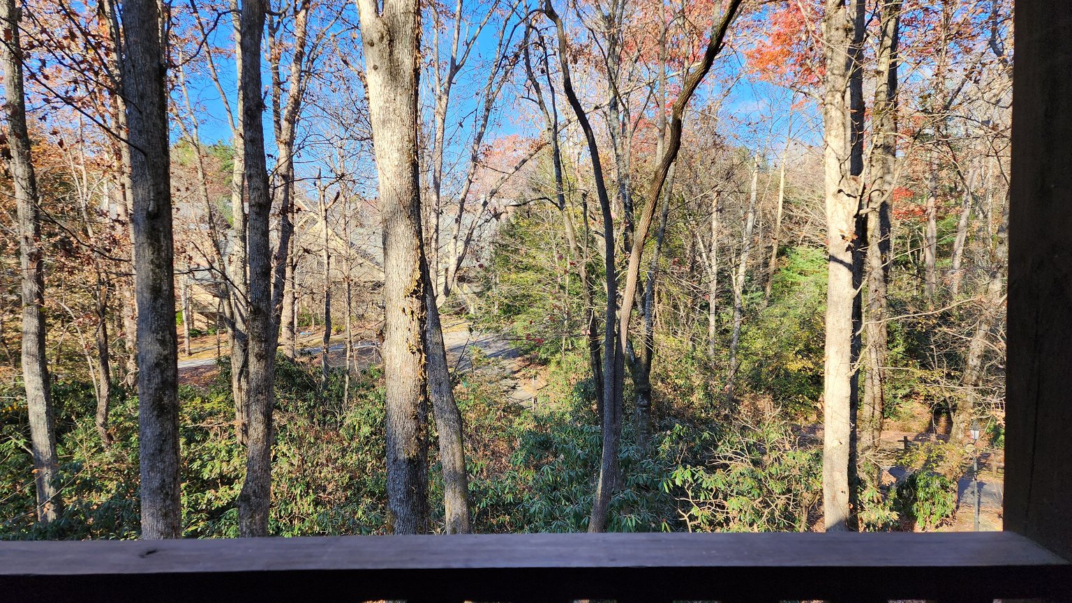 Black Mountain Vacation Rental