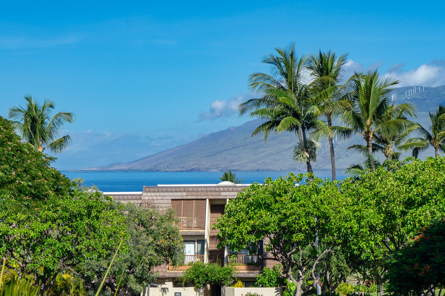 Kihei Vacation Rental
