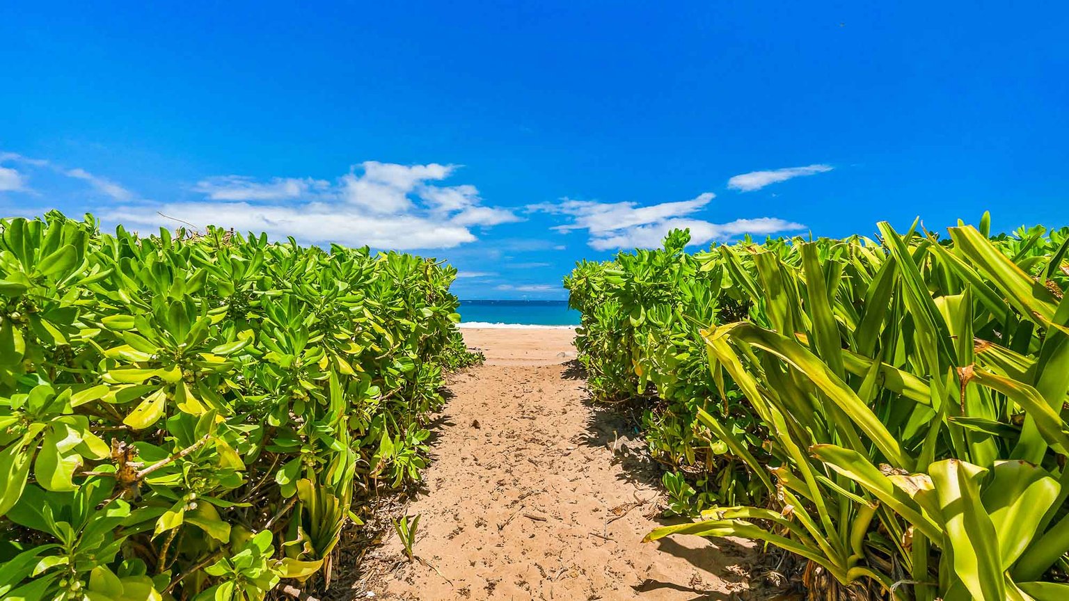 Anahola Vacation Rental