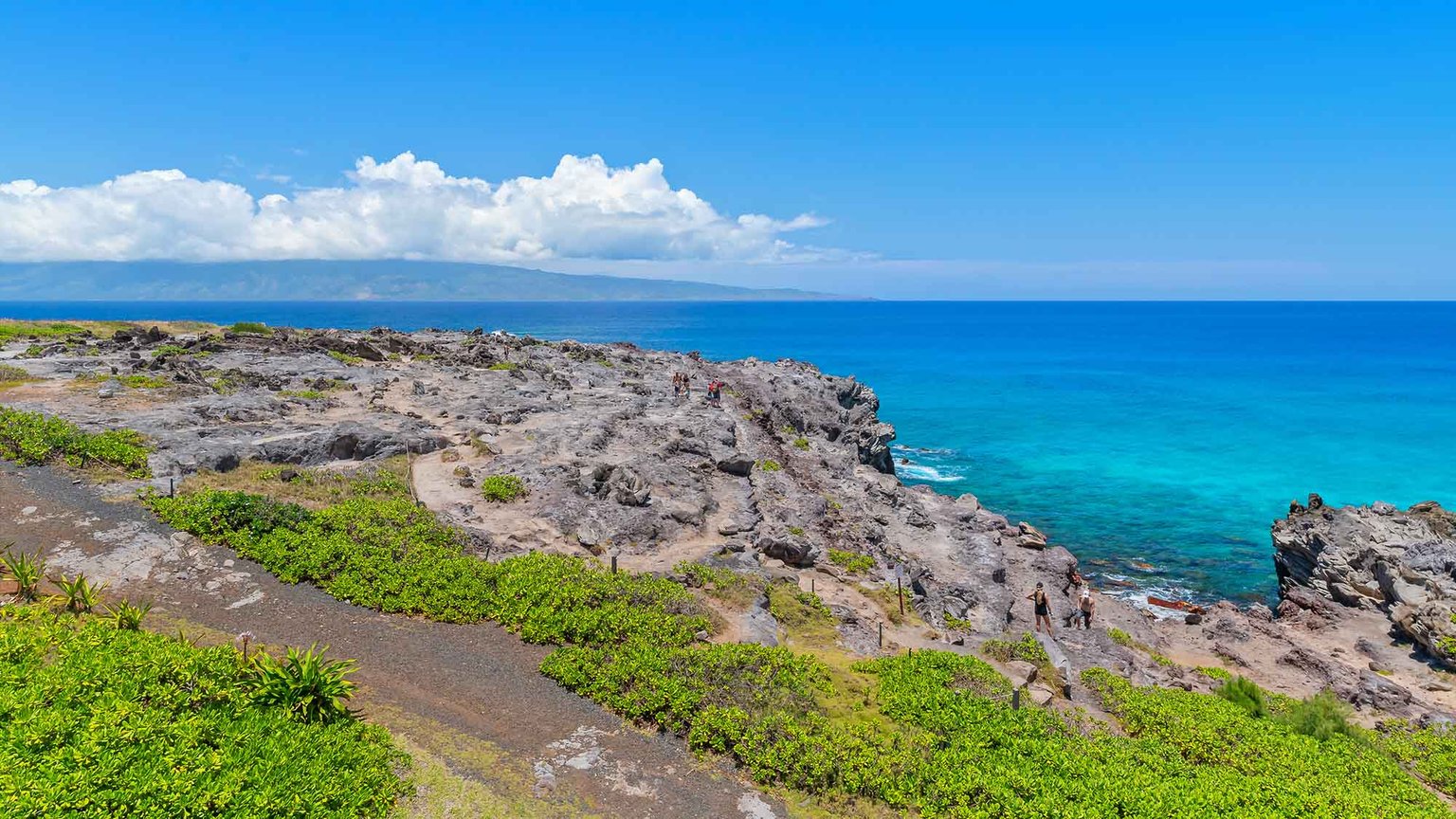 Kapalua Vacation Rental