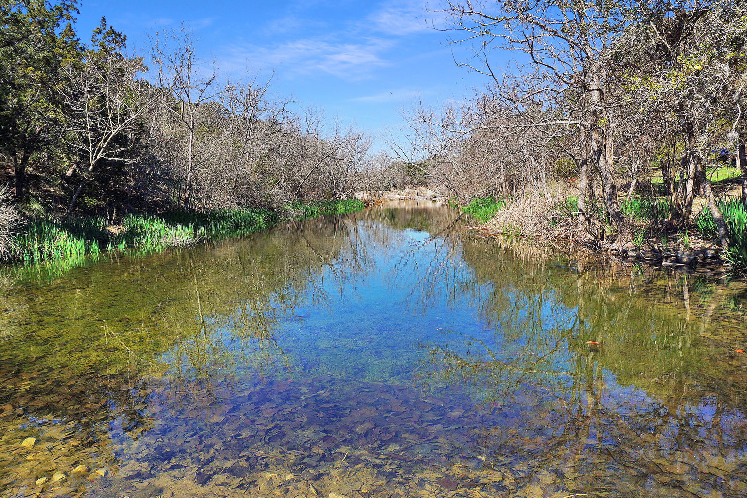 Wimberley Vacation Rental