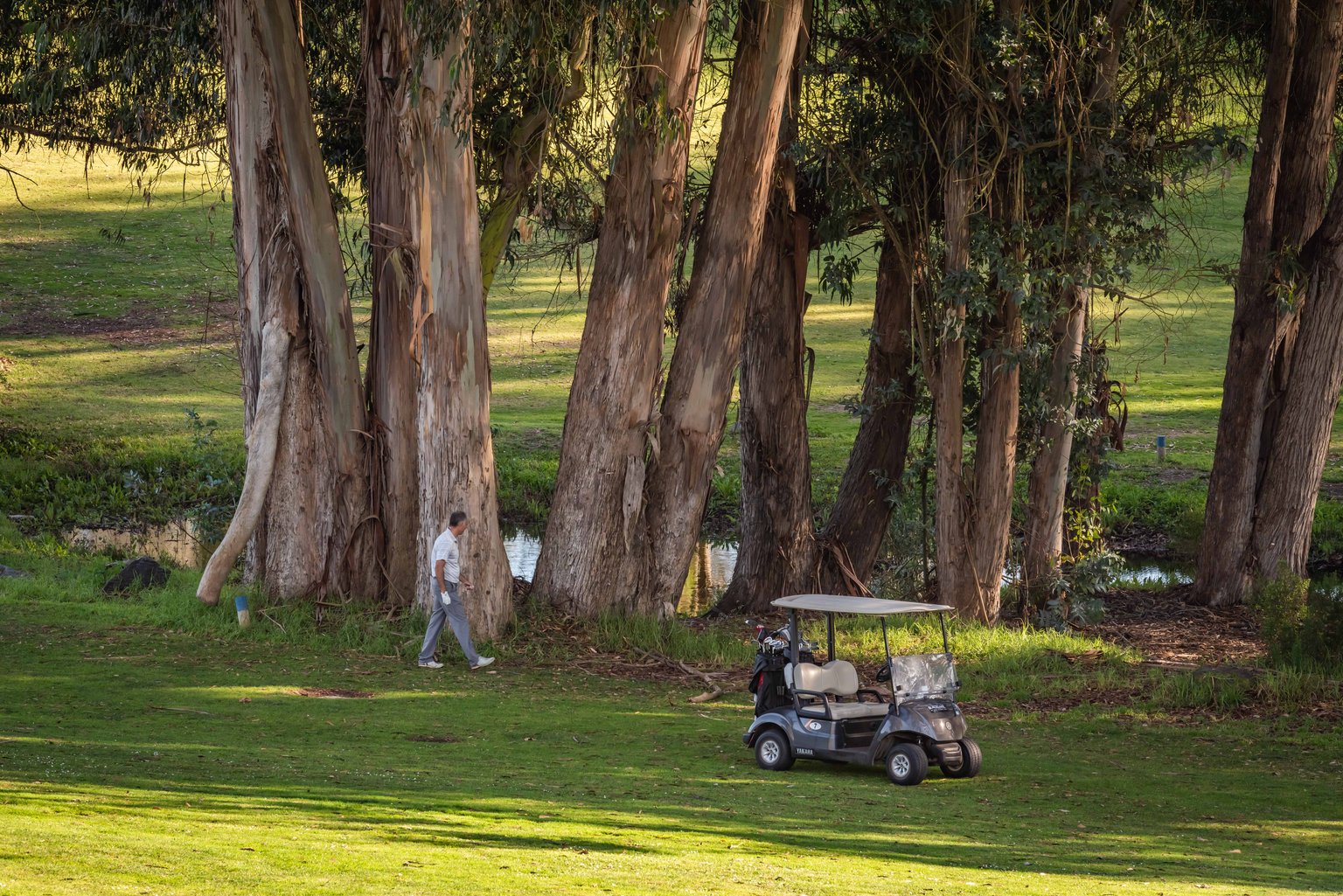 Nipomo Vacation Rental