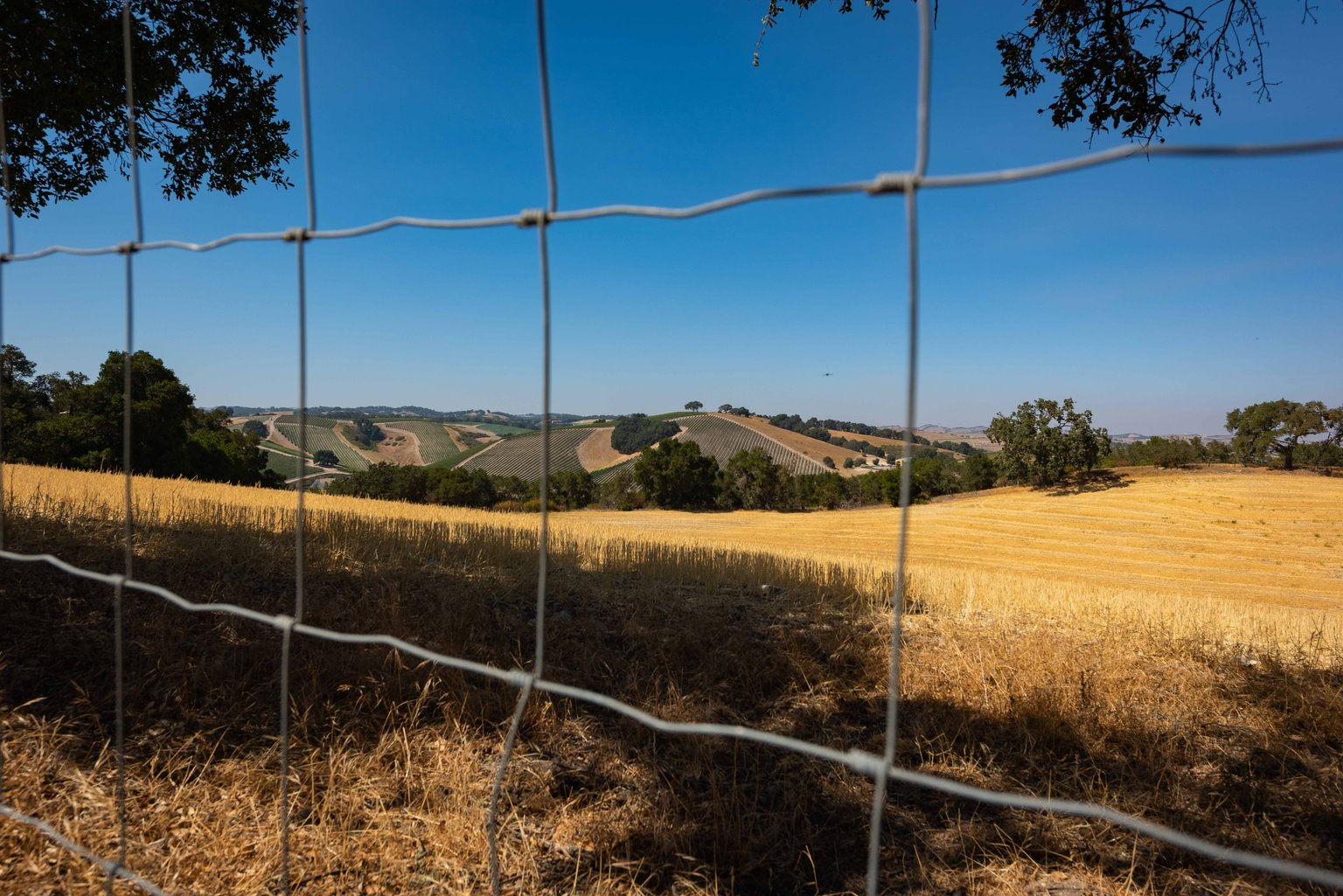 Templeton Vacation Rental