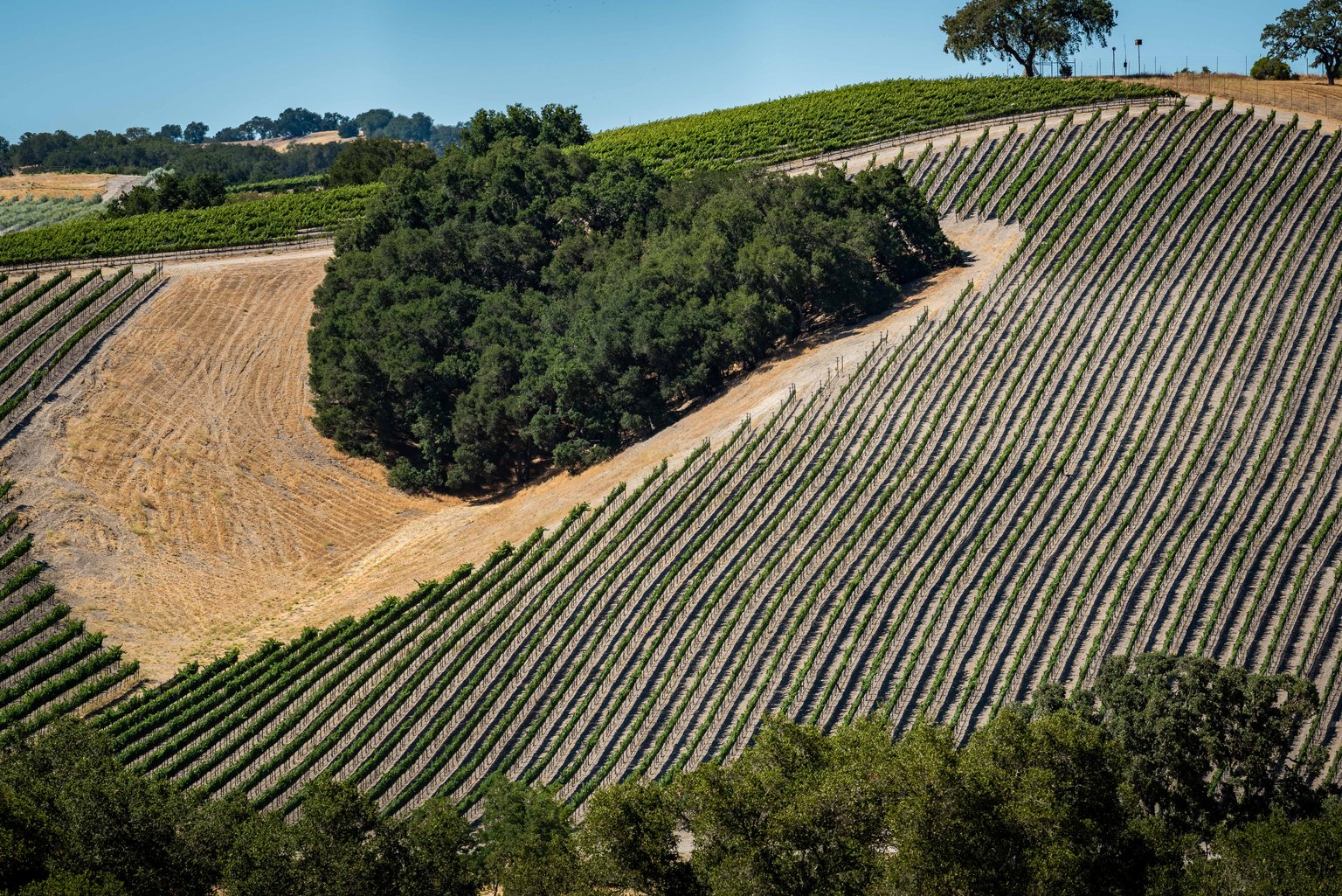 Templeton Vacation Rental