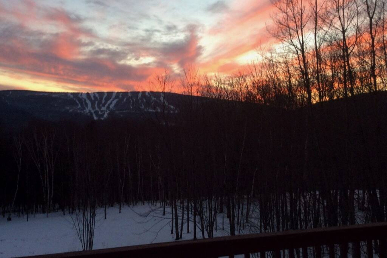 Pine Hill Vacation Rental