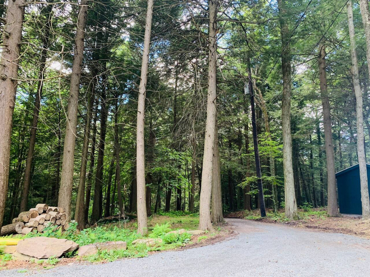 Margaretville Vacation Rental