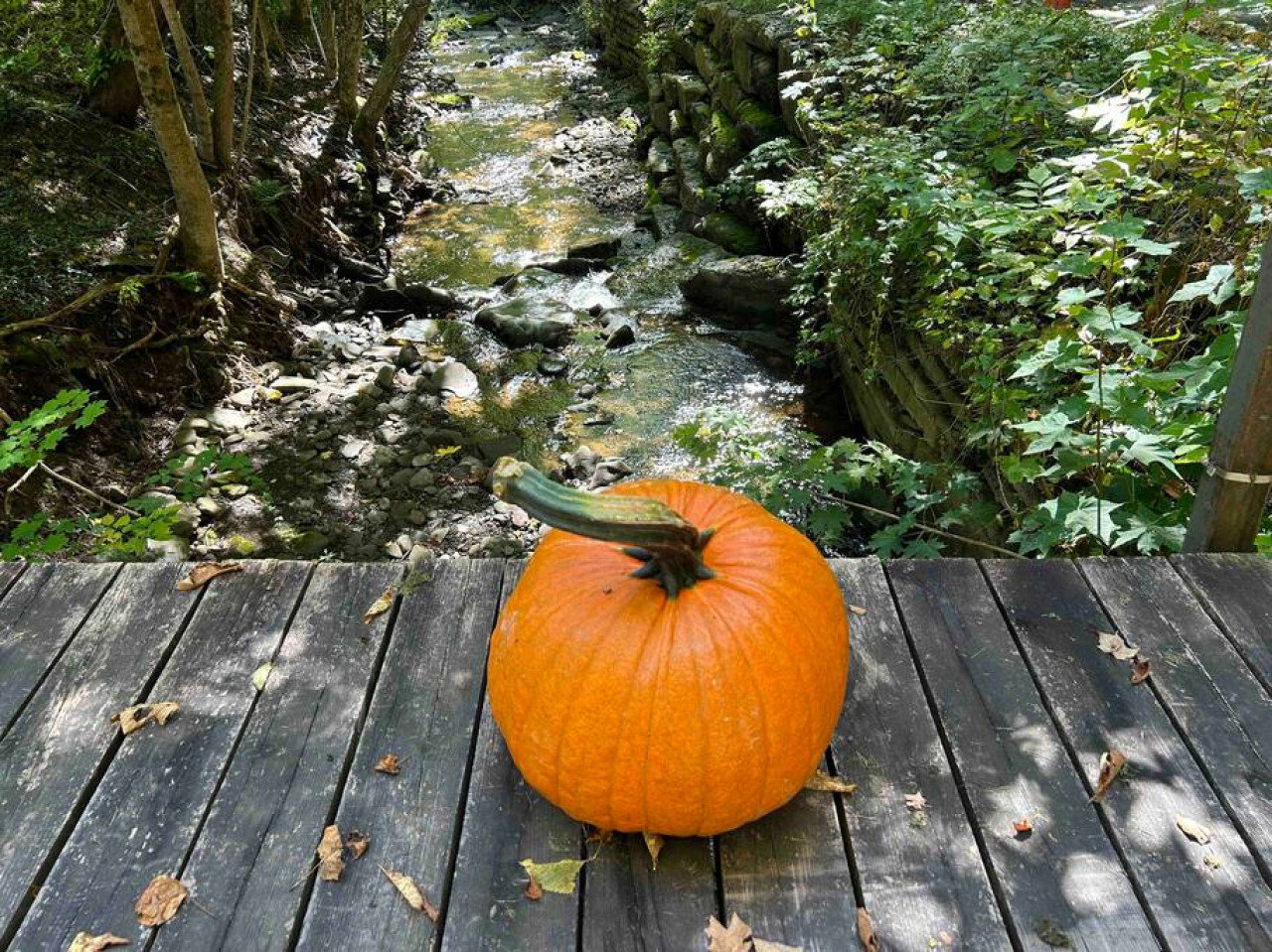 Margaretville Vacation Rental