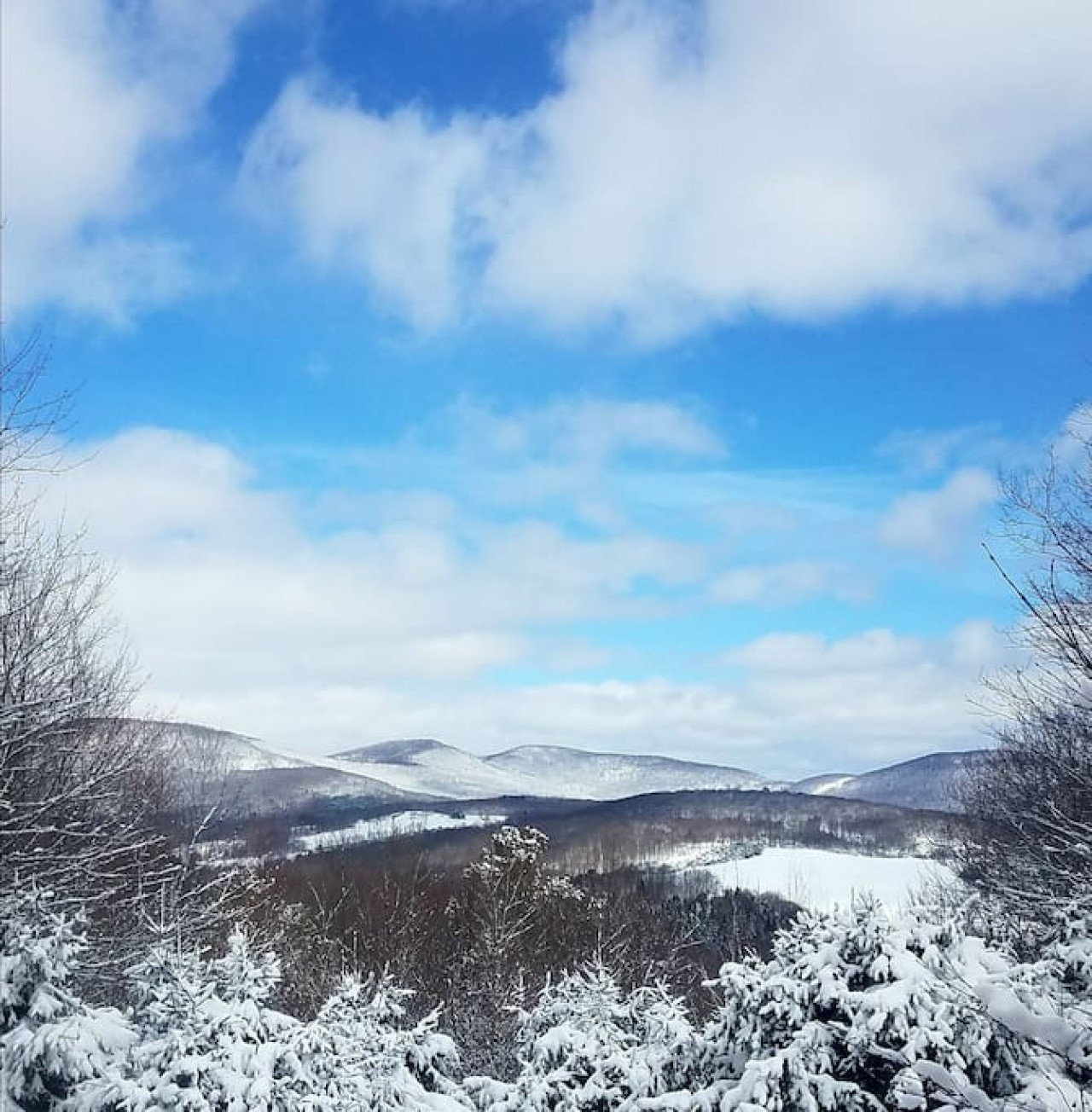 Roxbury Vacation Rental