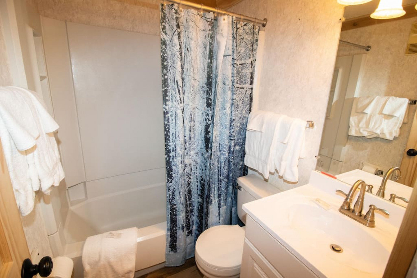 Snowshoe Vacation Rental