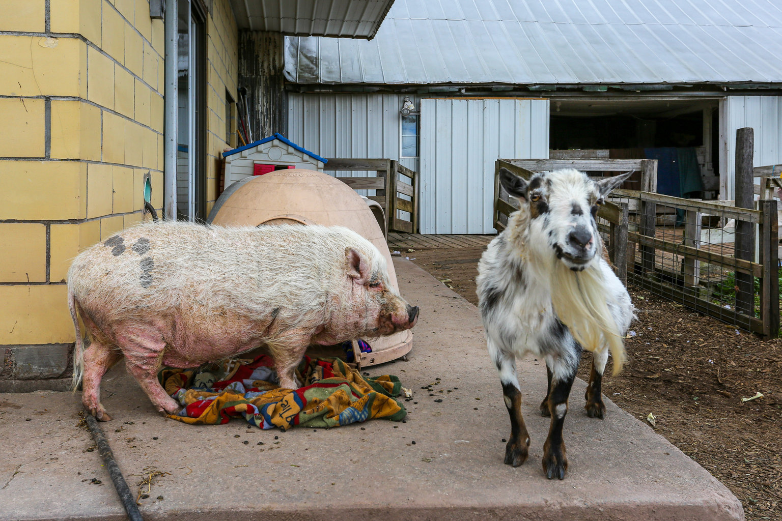 Honesdale Vacation Rental