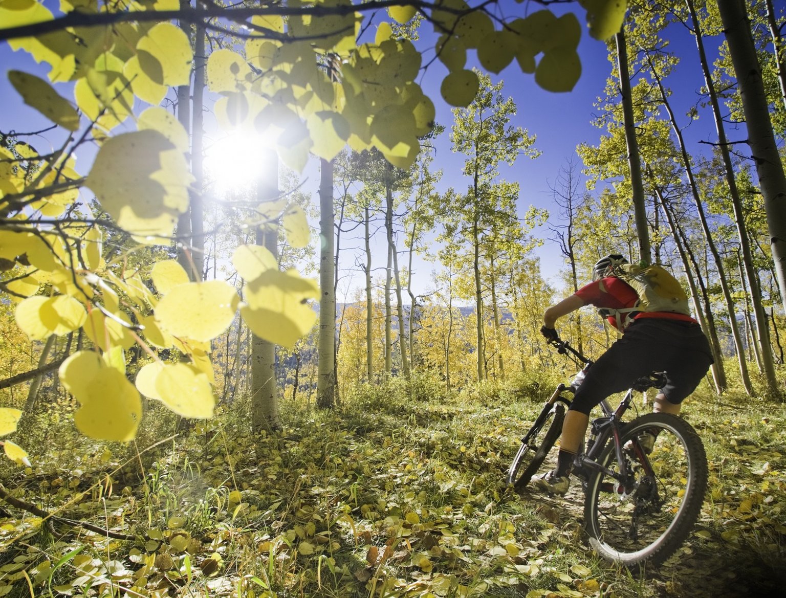 Winter Park Vacation Rental