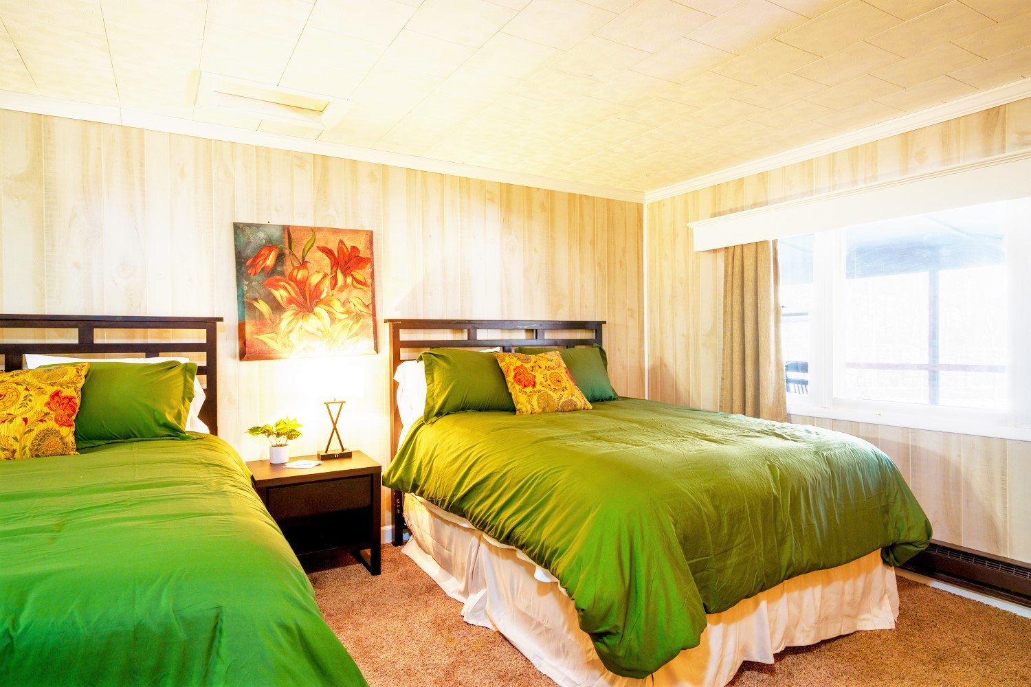 Elkins Vacation Rental