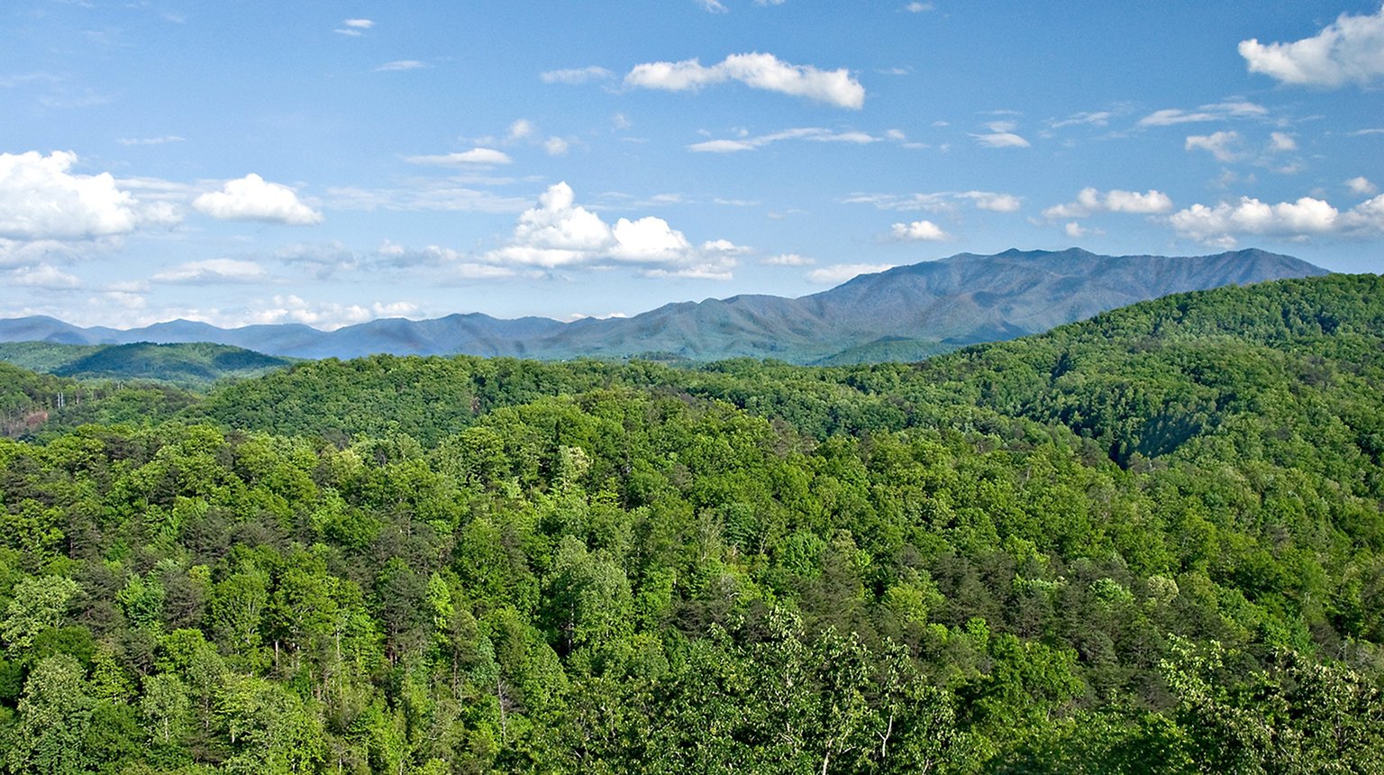 Pigeon Forge Vacation Rental