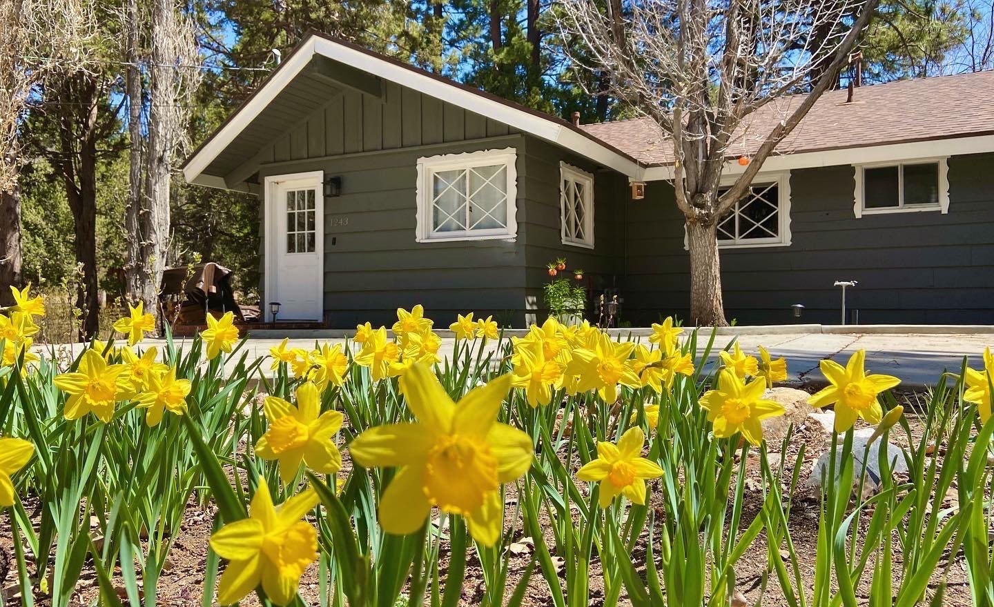 Big Bear Lake Vacation Rental