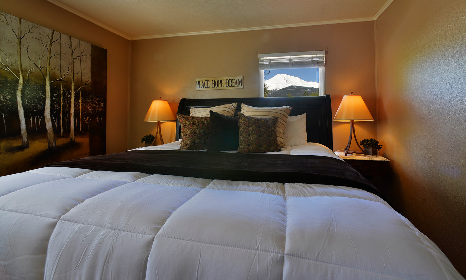 Mount Shasta Vacation Rental