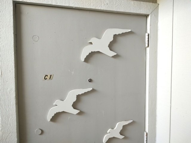 Carolina Beach Vacation Rental