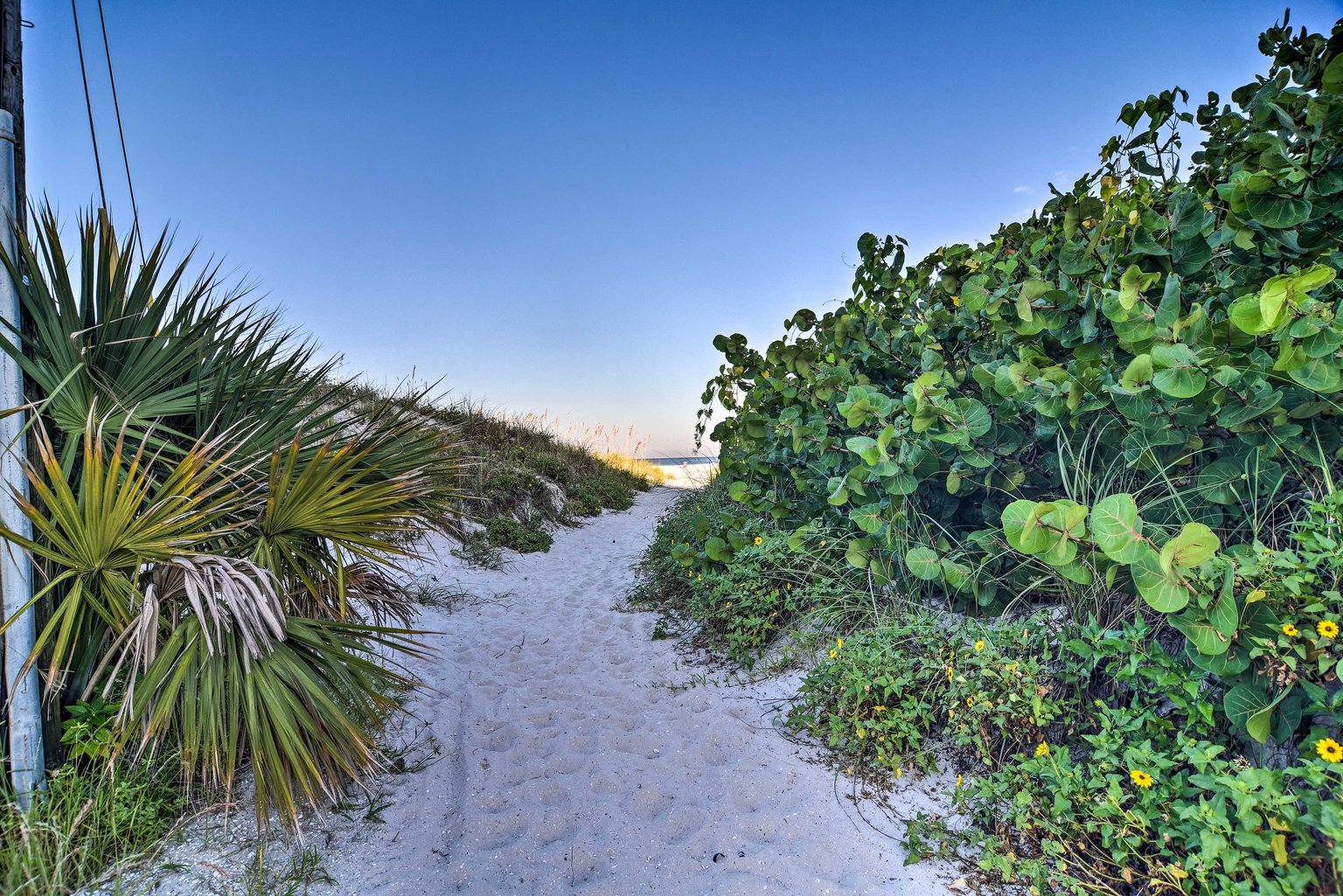 Clearwater Vacation Rental