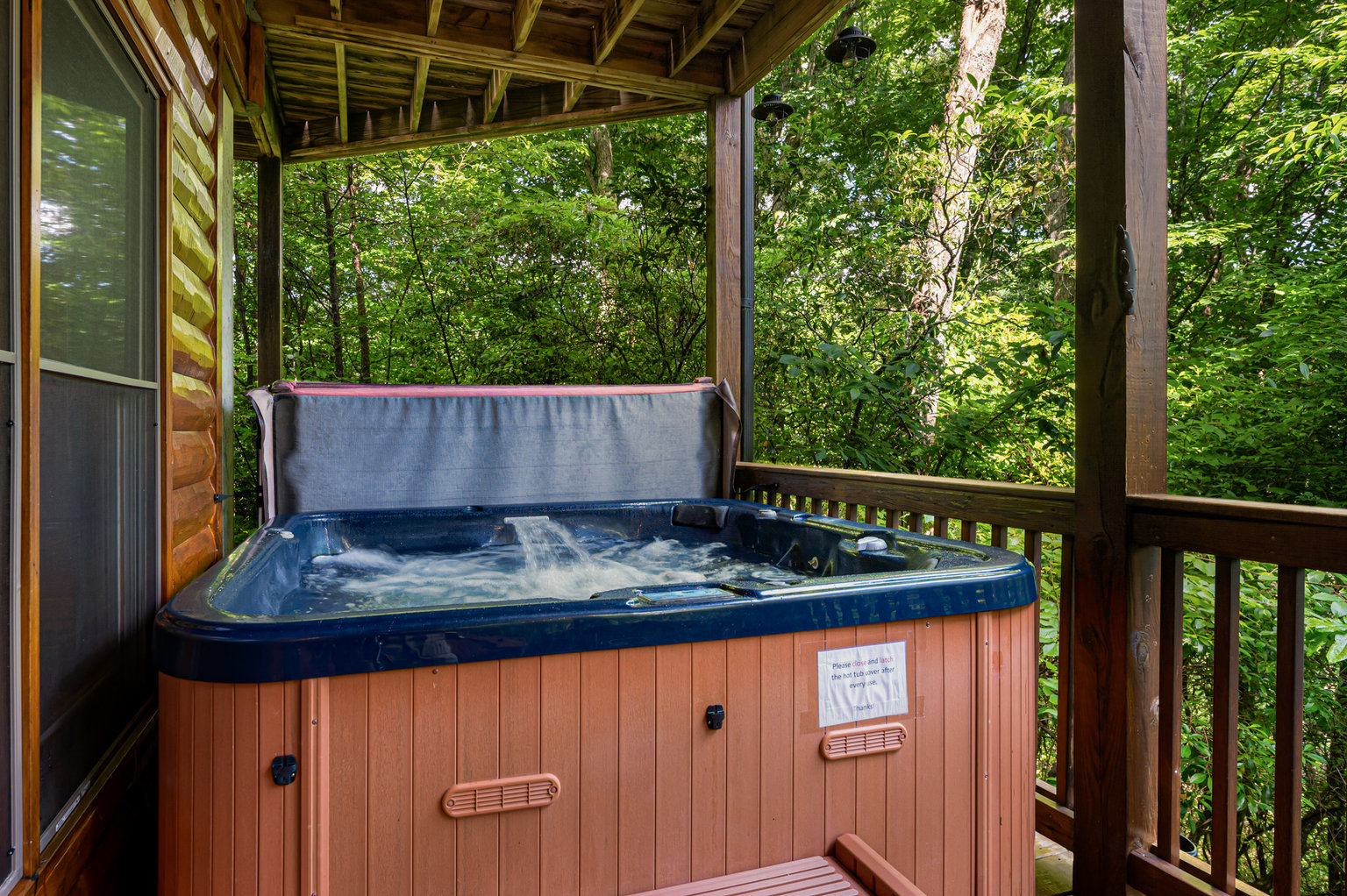 Blue Ridge Vacation Rental