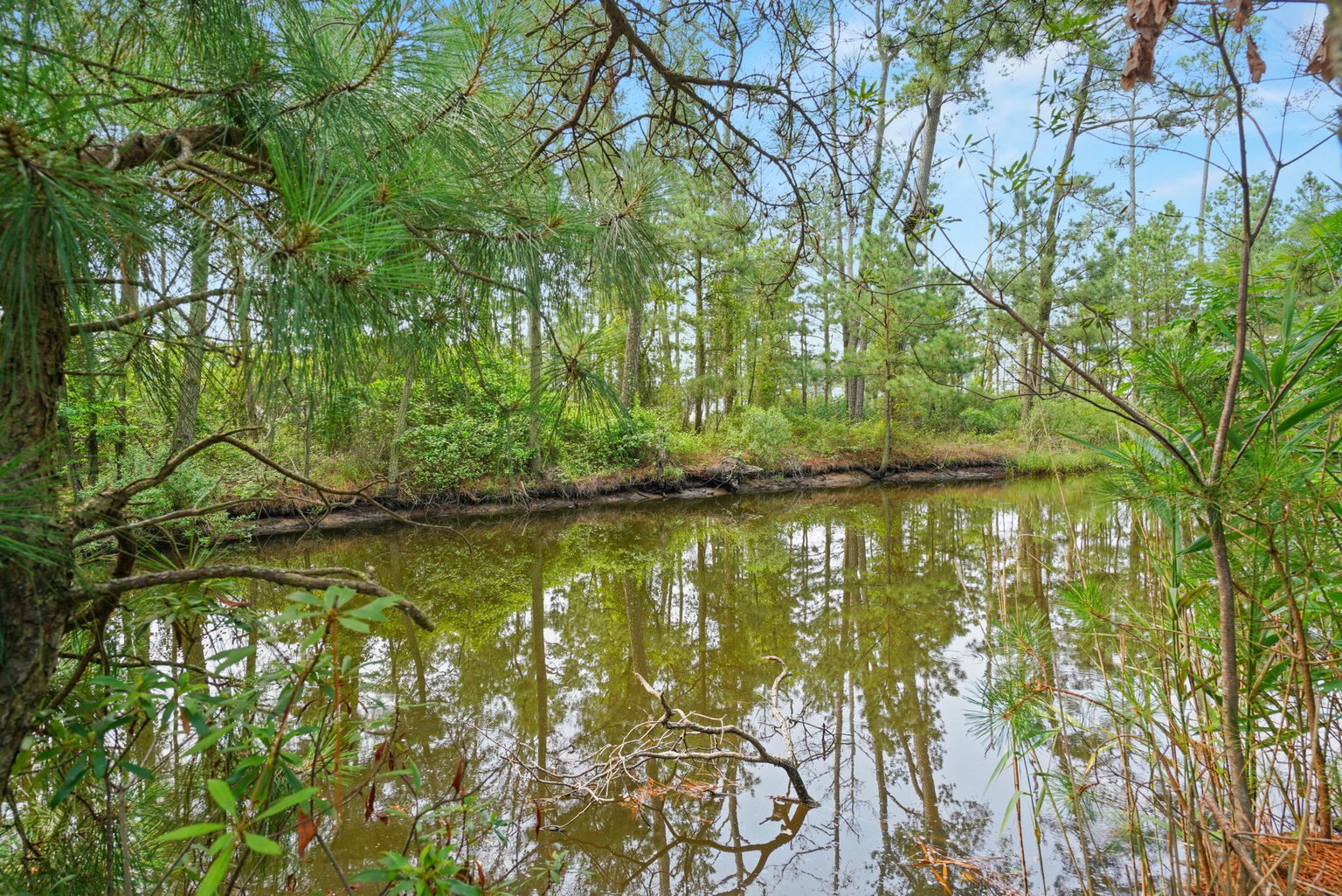 Chincoteague Island Vacation Rental