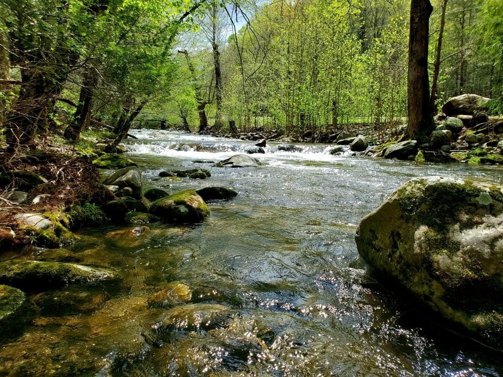 Cosby Vacation Rental