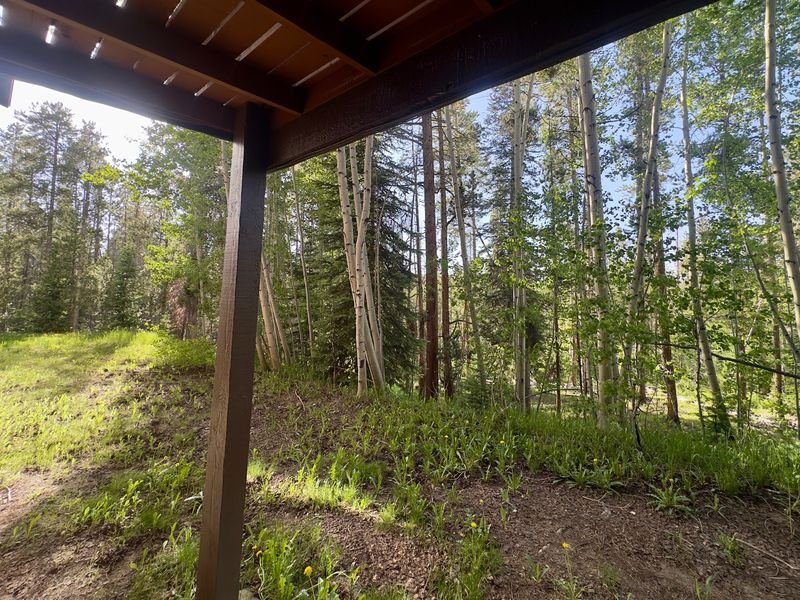 Winter Park Vacation Rental