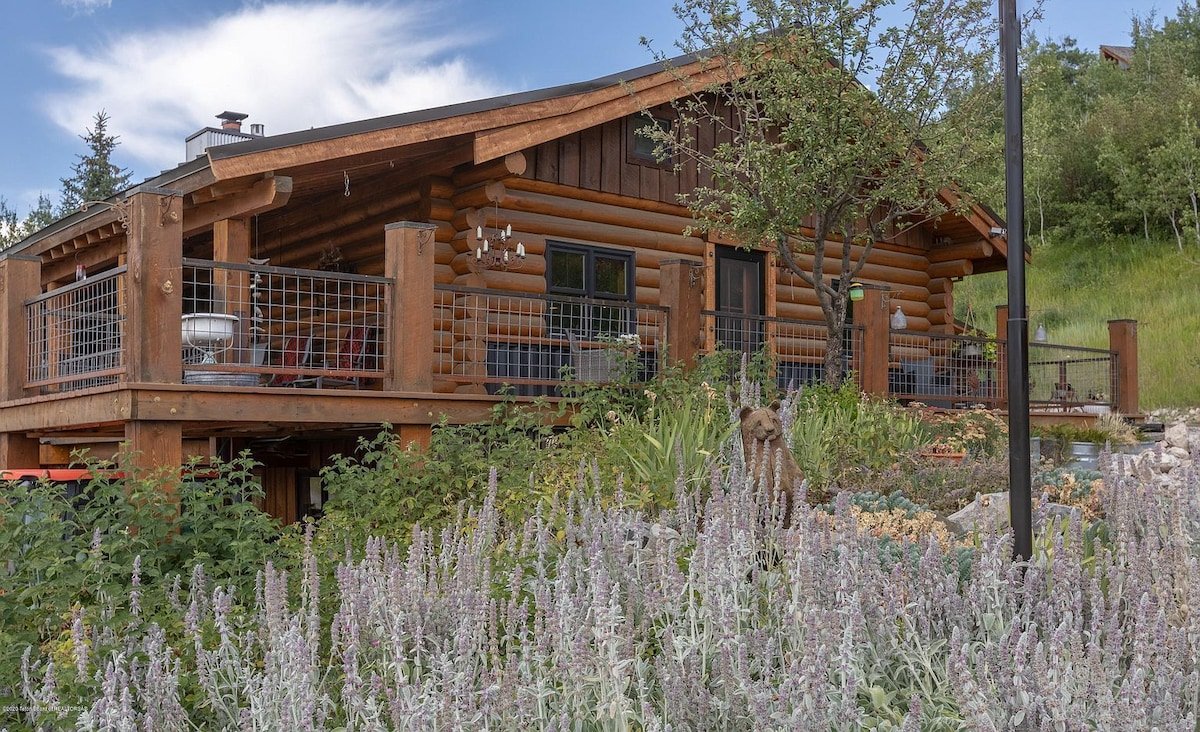 Alpine Vacation Rental