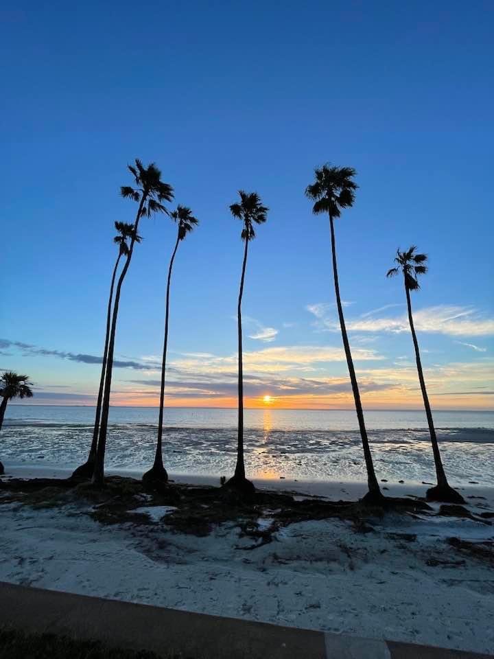 St Petersburg Vacation Rental