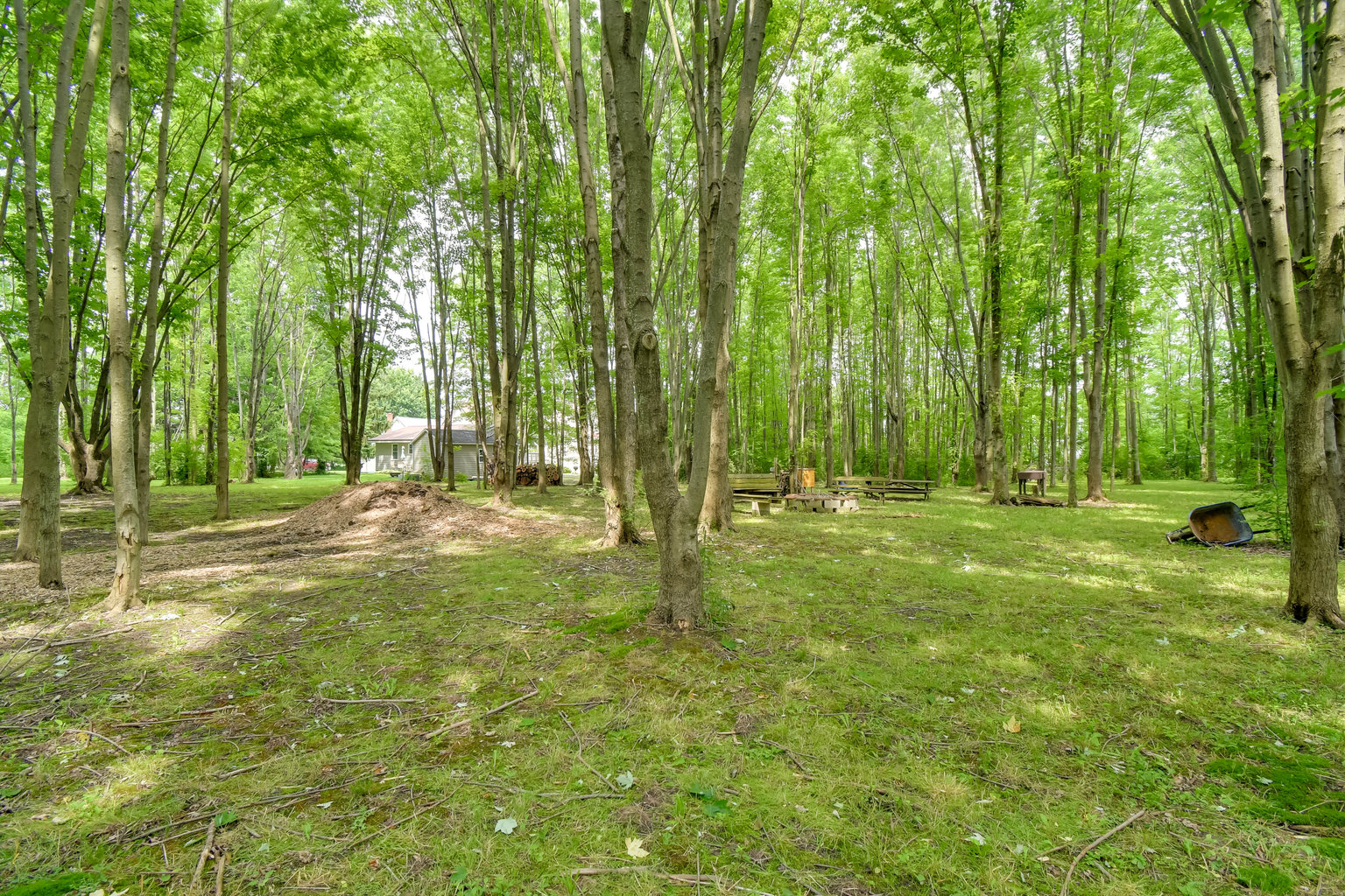 Ovid Vacation Rental