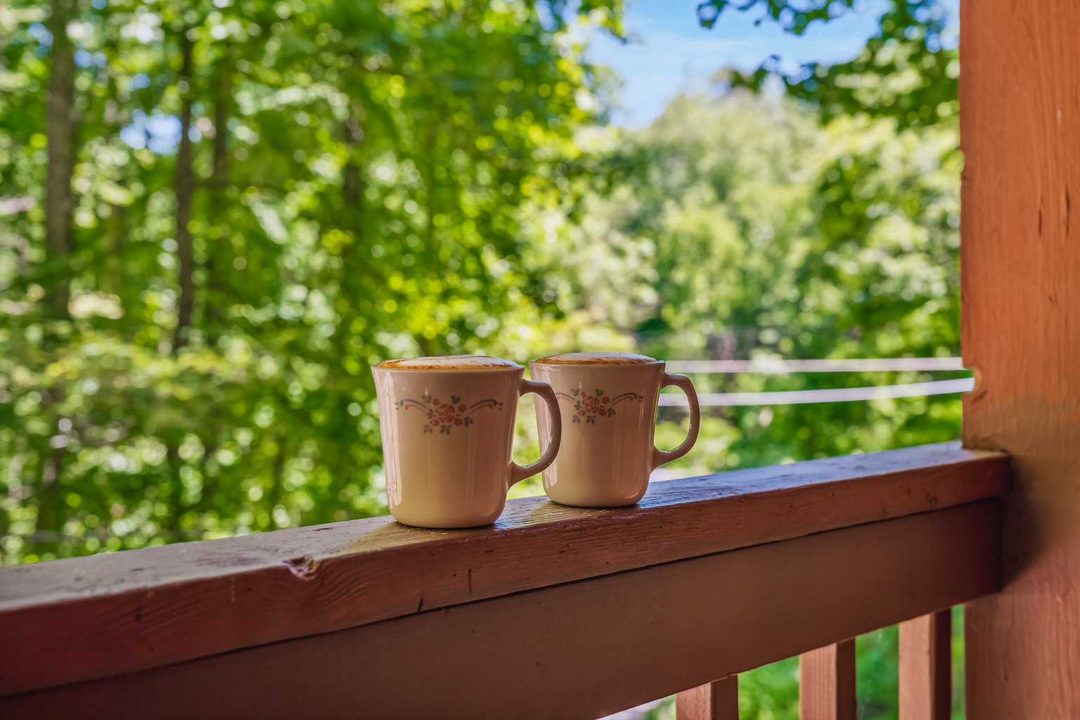 Sevierville Vacation Rental