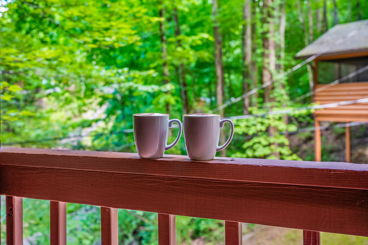 Sevierville Vacation Rental