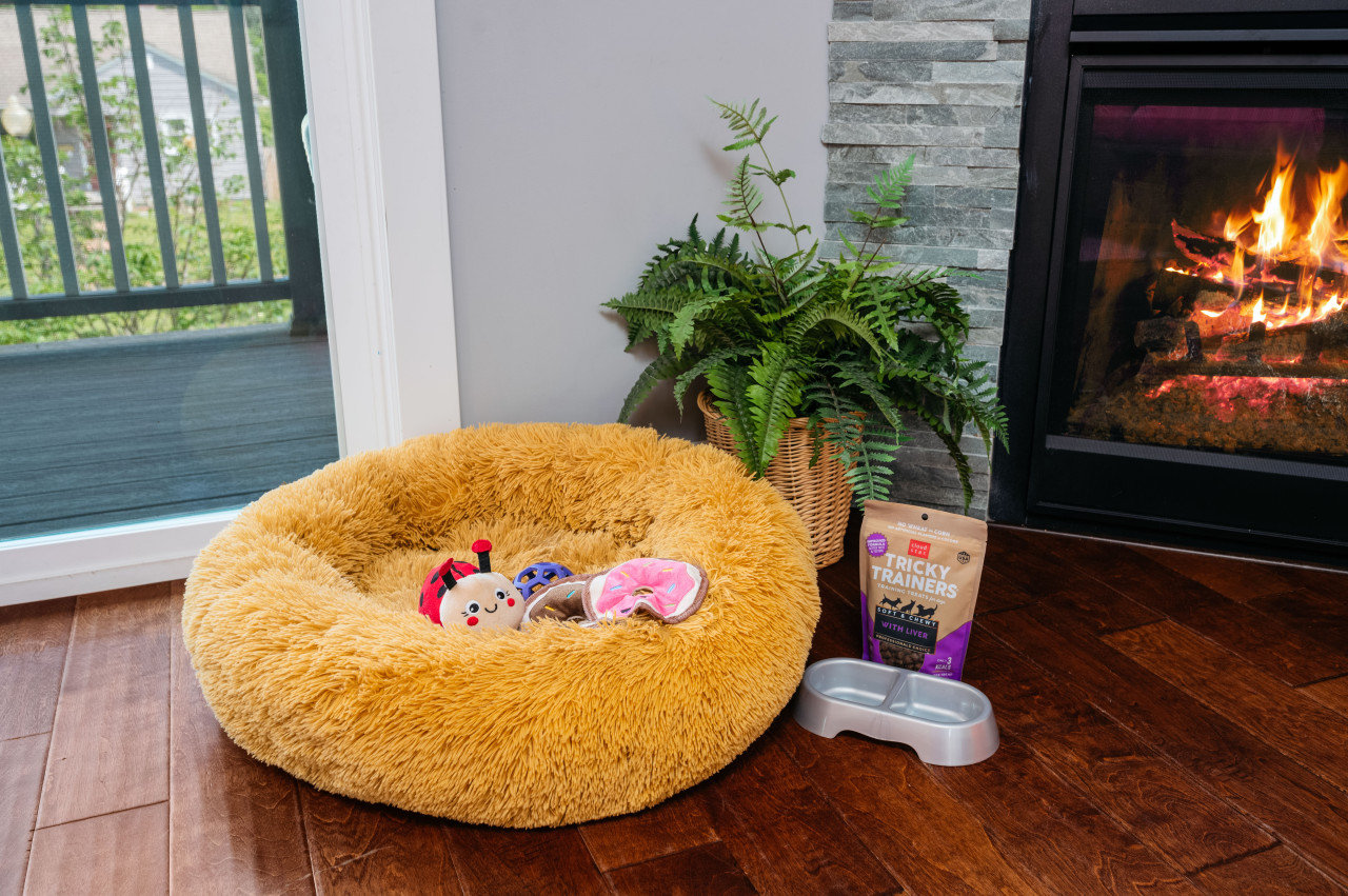 Traverse City Vacation Rental