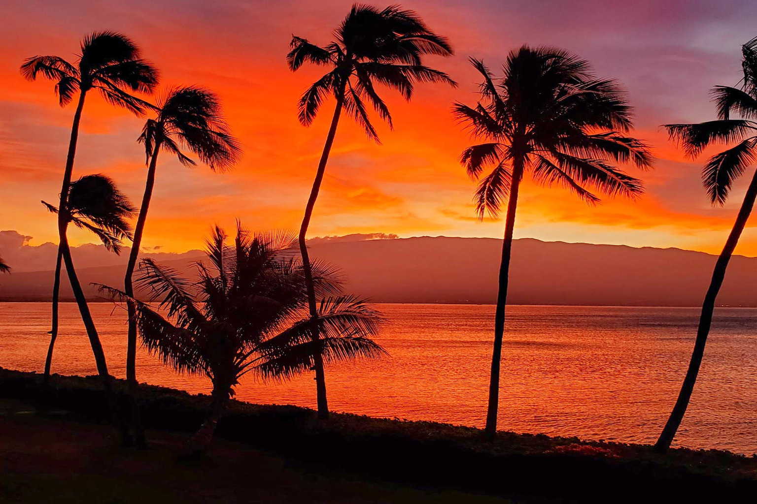 Wailuku Vacation Rental