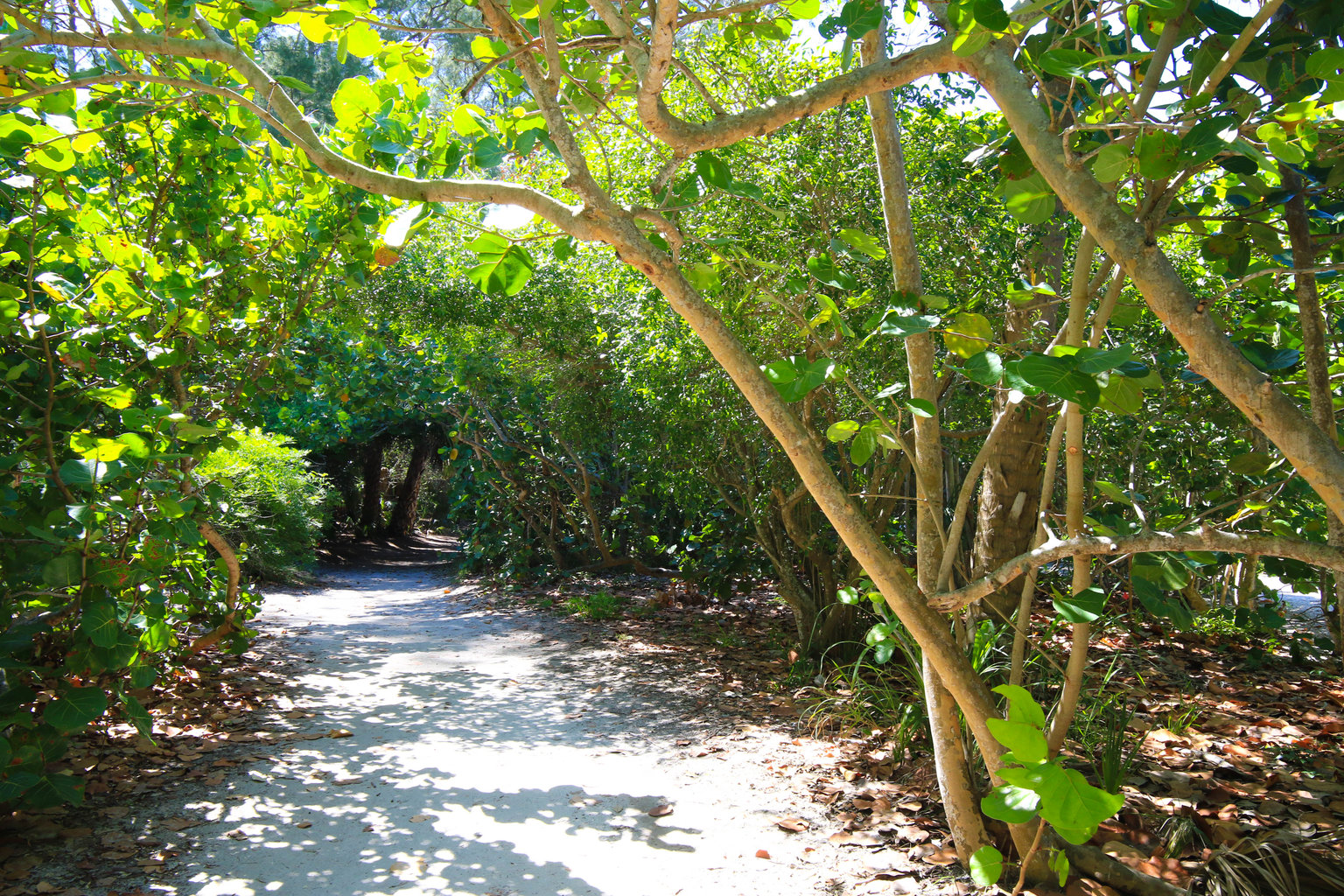 Holmes Beach Vacation Rental