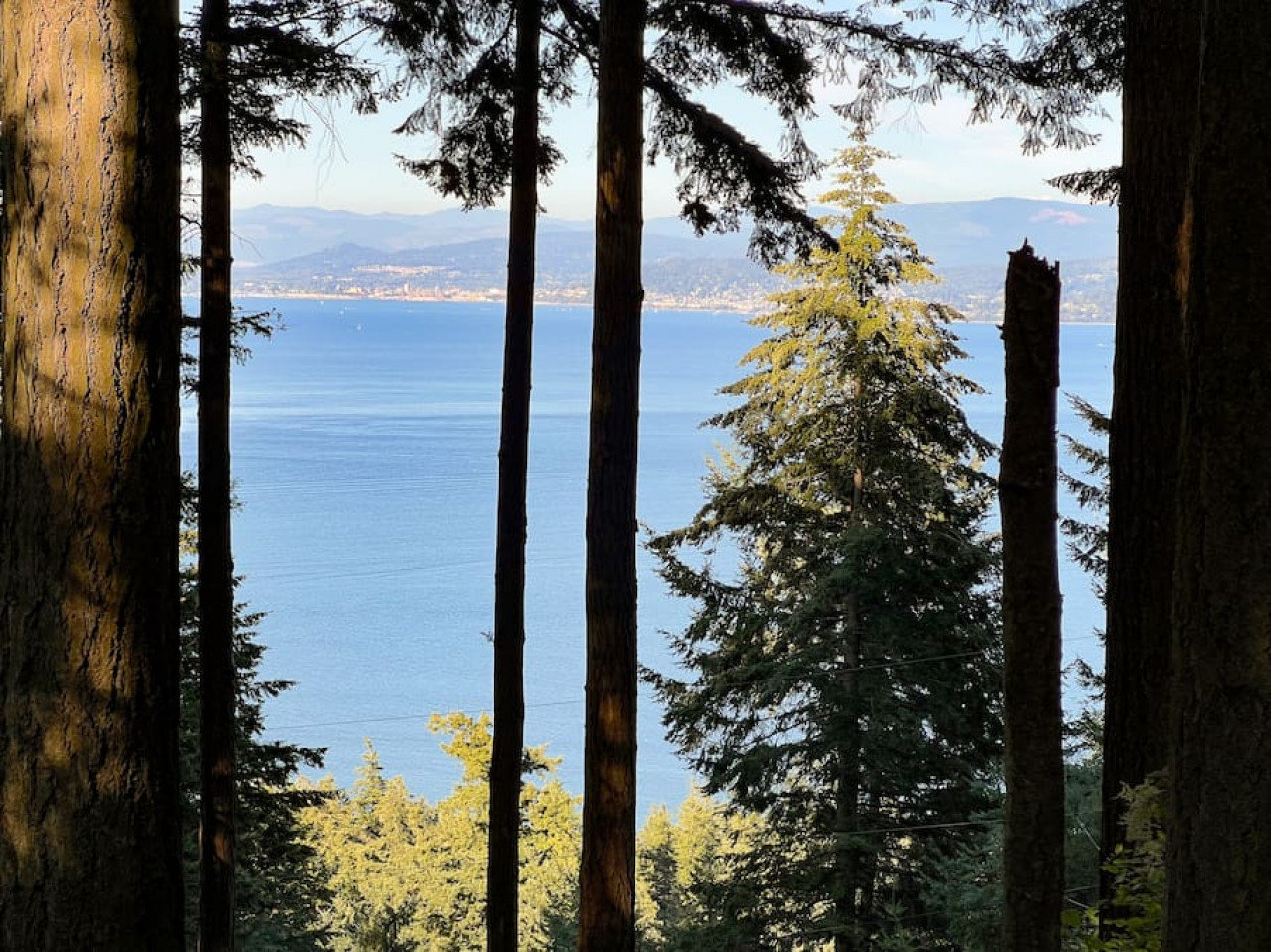Lummi Island Vacation Rental