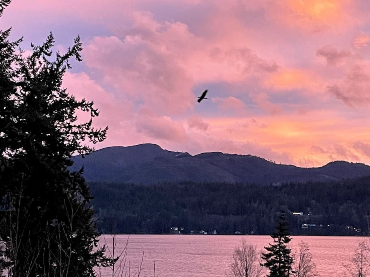 Bellingham Vacation Rental